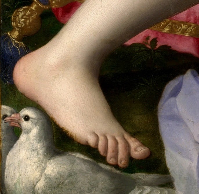 Agnolo+Bronzino-1503-1572 (108).jpg